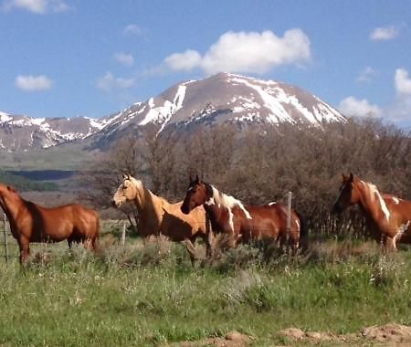 Mount Peale Country Inn La Sal Ngoại thất bức ảnh