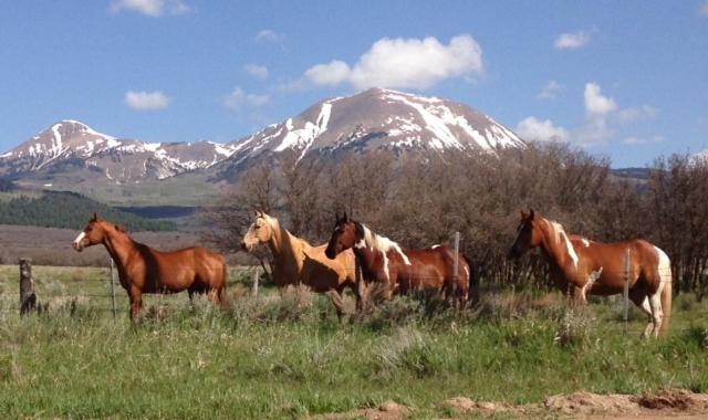 Mount Peale Country Inn La Sal Ngoại thất bức ảnh